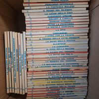 fumetto Tex (290 pz.) 