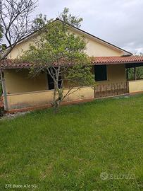 Villa immersa nel verde