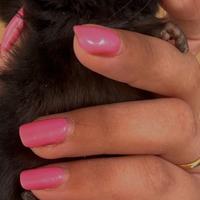 Cuccioli di cincillà