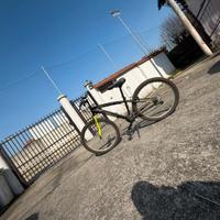 Bicicletta Mountain bike