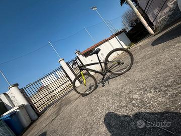 Bicicletta Mountain bike
