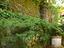 Immagine 14