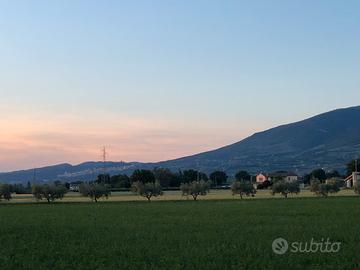 Vendita terreno edificabile Spello, zona Acquatino