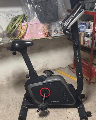 Palestra