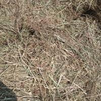 balloni fieno 1 taglio