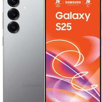 Samsung Galaxy S25 Silver Shadow 