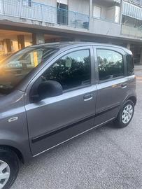 Panda 1.2 dynamic