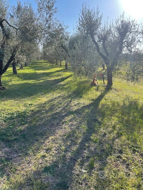 Posto per tranquillita e relax - Vista 3