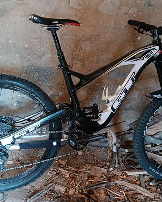 Bicicletta Downhill
