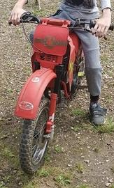 malaguti grizzly 10