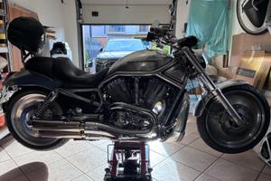 Harley Davidson V Rod