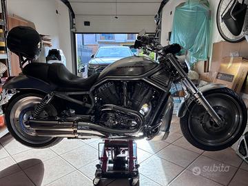 Harley Davidson V Rod