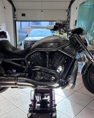 Harley Davidson V Rod