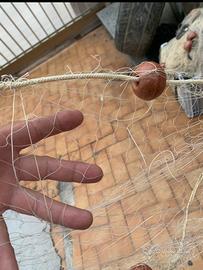 Rete da pesca per seppie tremaglio usate