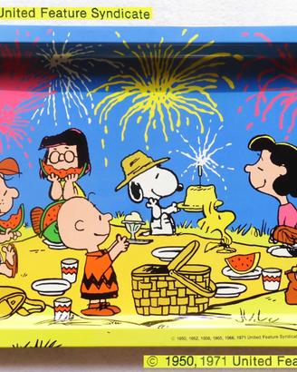 🎡 SNOOPY PEANUTS Vintage 1980 Vassoi Smaltati NEW
