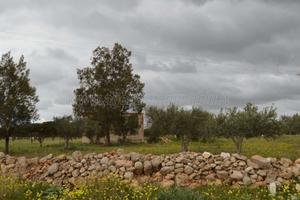 Rustico con ampio terreno