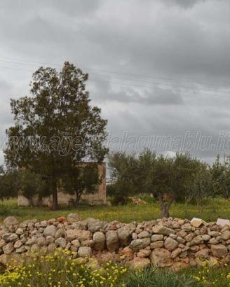 Rustico con ampio terreno