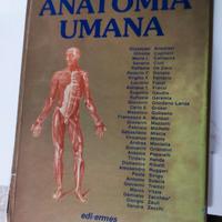 Trattato di anatomia umana I volume