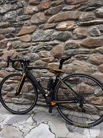 Bici da corsa
