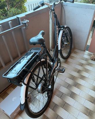 Bici elettrica