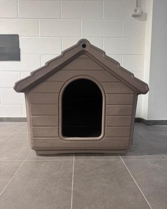 Cuccia cane