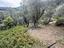 Immagine 13