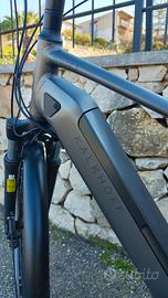 Bici kalkhoff image 3.c 