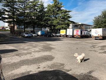 Posto auto/furgone, zona Tor Vergata