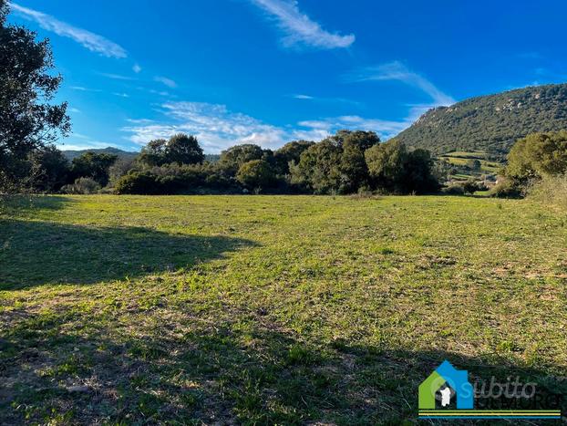 Terreno agricolo per edificare Stazzu Austinacciu