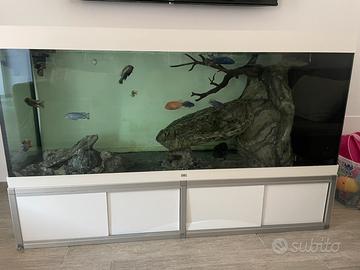 ACQUARIO JUWEL RIO 450