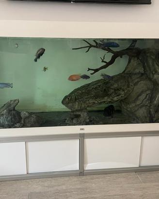 ACQUARIO JUWEL RIO 450