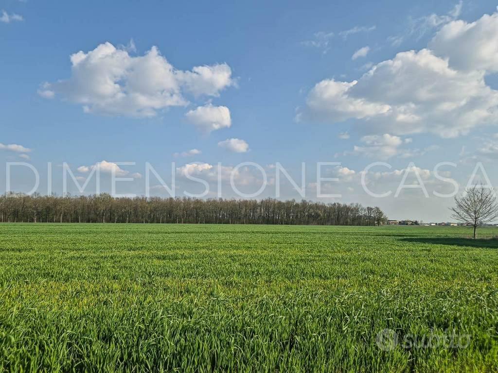Terreno di 56500 m² a Camposanto - Vista 5