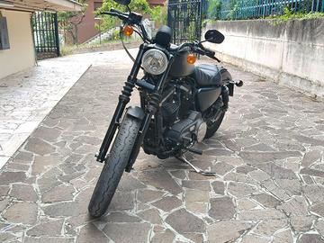 Harley 883 sportster XL