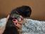 Immagine 5