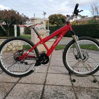 bici da downhill o dirt