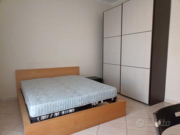 340euro camera singola Torino Mirafiori sud