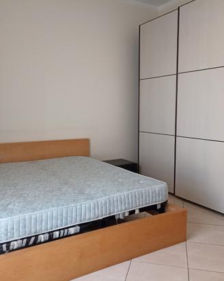 340euro camera singola Torino Mirafiori sud