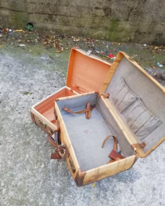 Set valige vintage