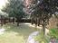 Immagine 28