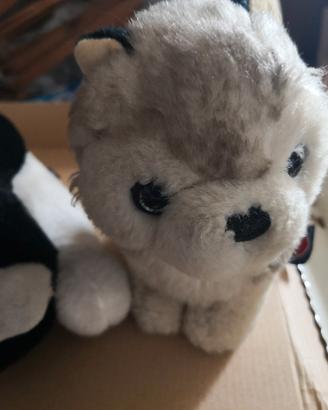 peluche trudy, cane e gatto 