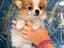 Immagine 6