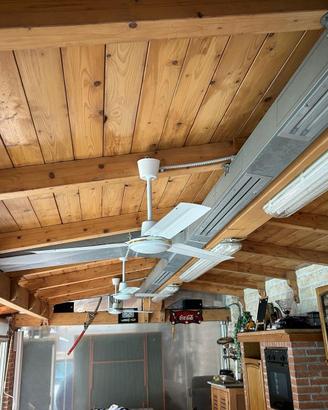 Ventilatori da soffitto a 3 pale