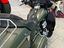 Immagine 12