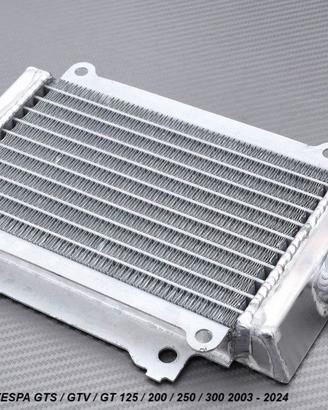Radiatore VESPA GT GTS GTV 125 200 250 300 2003 24