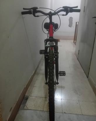 bicicletta 