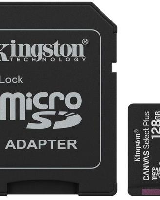 Kingston Canvas Select Plus Scheda di memoria micr