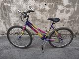 Bicicletta donna mountain-bike