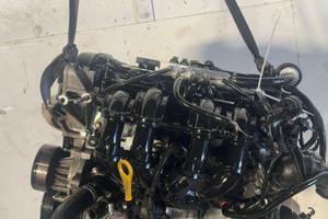 STJB MOTORE COMPLETO FORD Fiesta 6Â° Serie STJB Be