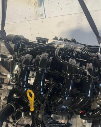 STJB MOTORE COMPLETO FORD Fiesta 6° Serie STJB Be