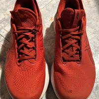 Asics nimbus 25 n46